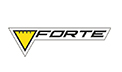 Ремонт компрессора Forte