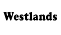 Ремонт бензогенератора Westlands