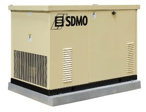 ремонт газового генератора SDMO